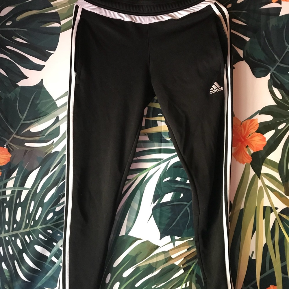 Adidas Women Track pants